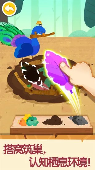 奇妙的动物家庭最新版 v9.73.00.00 安卓版 1