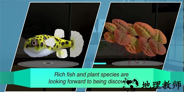 水族设计师手游 v1.0.0 安卓版 2