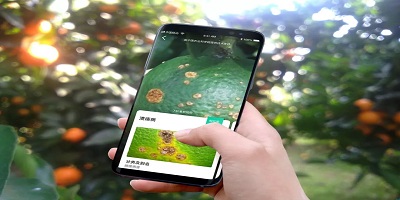 病虫害app哪个好用_病虫害识别软件APP_识别病虫害的软件下载