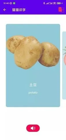 猫猫识字 v1.0 安卓版 0
