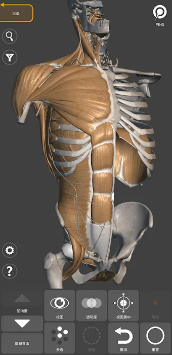 3d anatomy for artist手机版 v2.0.10 官方最新版 0