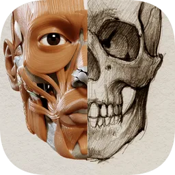 艺术家之3d解剖图安卓版