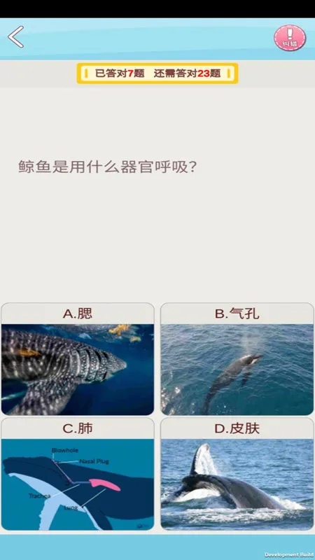 AR幻石学院软件 v1.0.1 安卓版 1