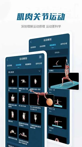 解剖大师最新版 v3.1.0 安卓版 2