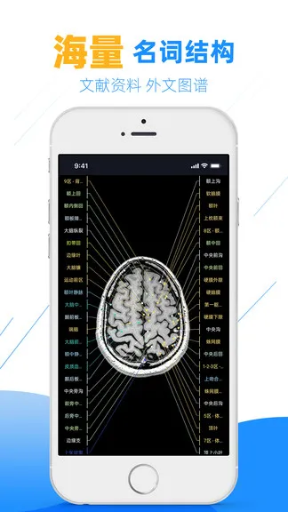 影像学图谱软件 v2.8.1 安卓版 3