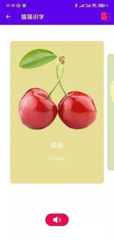 猫猫识字app