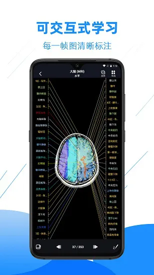 影像解剖图谱官方版 v3.1.3 安卓版 1