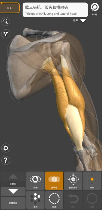 3d anatomy for artist手机版 v2.0.10 官方最新版 3