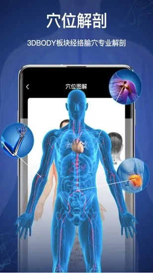 3d人体模型app下载