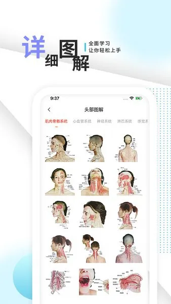 3d人体解剖学三维图谱app v1.3 安卓版 1