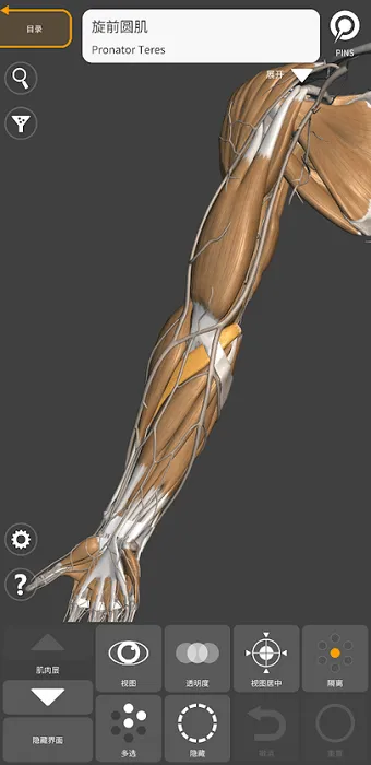 3d anatomy for artist手机版 v2.0.10 官方最新版 1