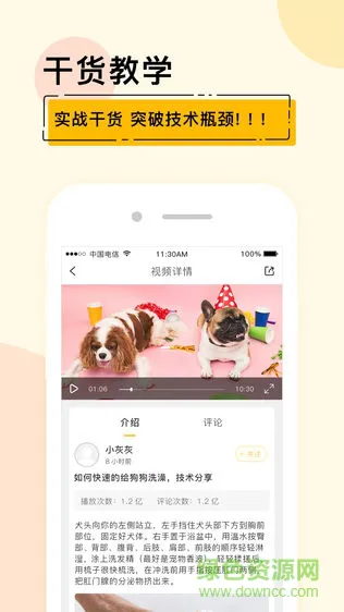 宠才大学 v1.6.6 安卓版 2