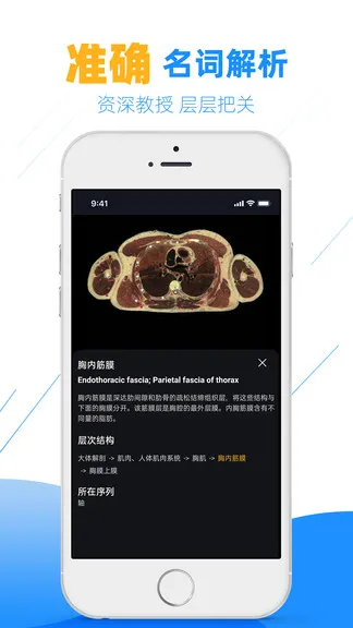 影像学图谱软件 v2.8.1 安卓版 1