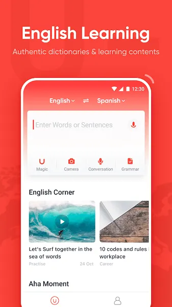 有道词典海外版(U-Dictionary) v5.0.19 安卓最新版 2