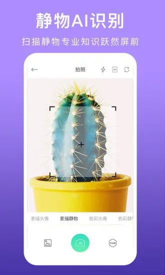 美术拍安卓版