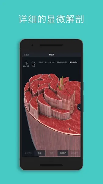 3d4medical医疗app2022 v8.0.1 官方安卓版 2