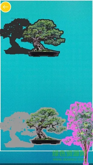 儿童认植物颜色app下载