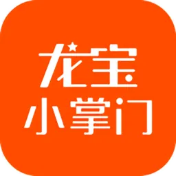 龙宝小掌门
