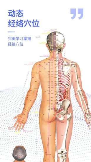 2022人体解剖学图谱 v2.1.0 安卓版 1