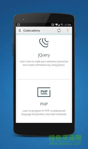 codecademy app v1.0 安卓版 2