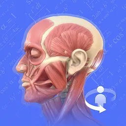 3dbody解剖学