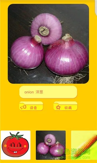 熊二学英语 v1.1 安卓版 3