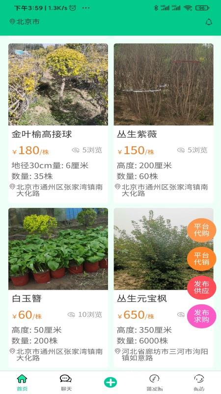 苗木人app v4.0.18 安卓版 1