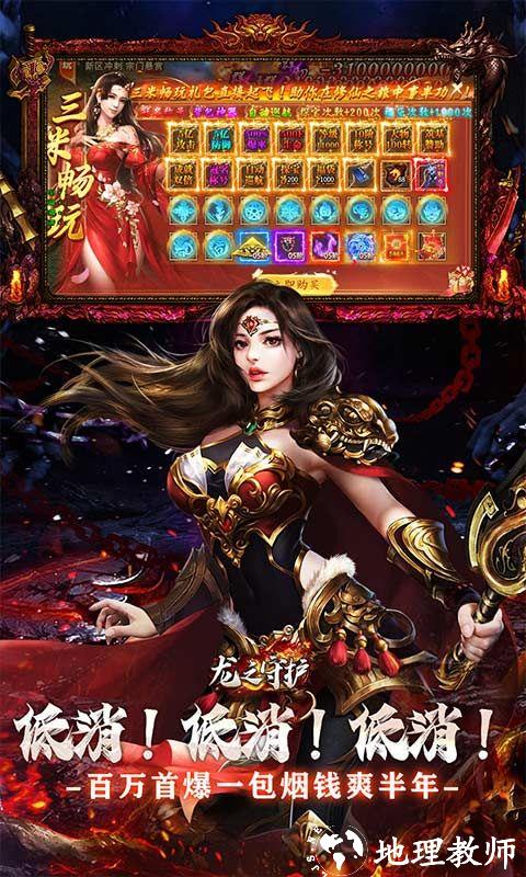 龙之守护图片 4