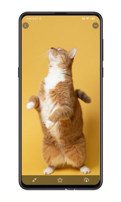 纸塘壁纸最新版 v2.0.5 官方安卓版 2