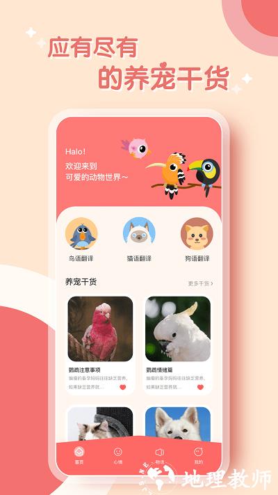 鹦鹉翻译器免费版 v2.0.5 安卓版 0