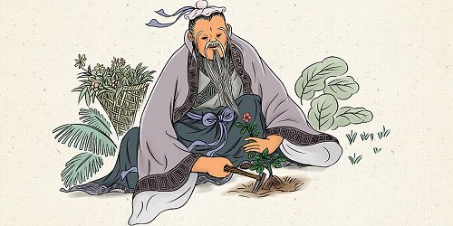 采药游戏推荐