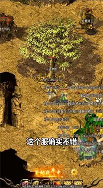 火龙风云1截图