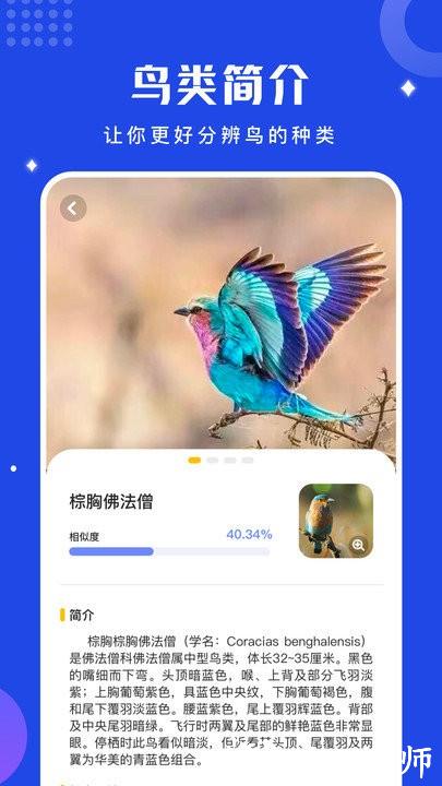 鸟语语言翻译器手机版(改名鸟语翻译器) v1.12 安卓版 2