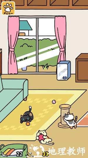 猫咪后院2手游2