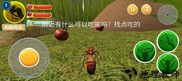 蚂蚁部落手游4