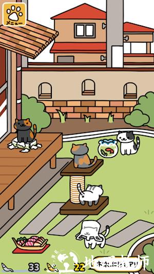 猫咪后院2手游1