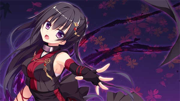 忍者少女与都市妖团移植版2