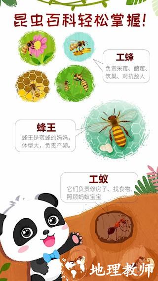 奇妙昆虫世界3
