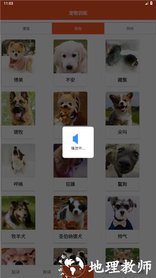 萌趣猫狗翻译器1