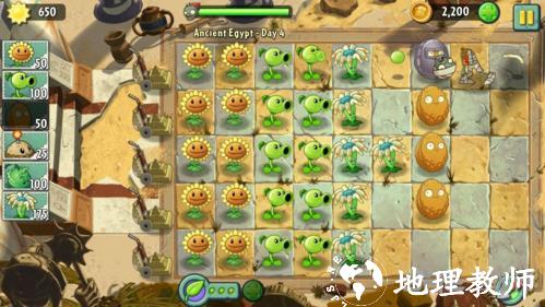 植物大战僵尸2图片3