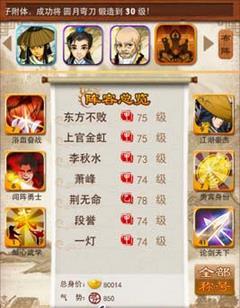 大掌门图片5