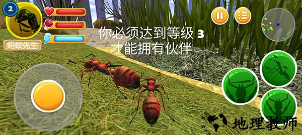 新手攻略8