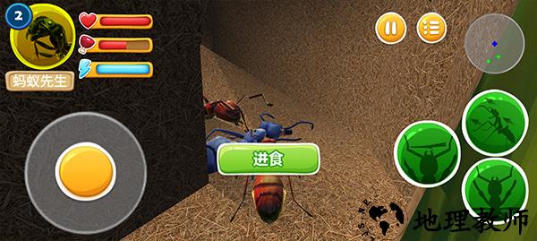 新手攻略5