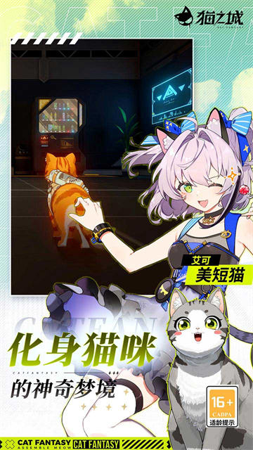 猫之城4