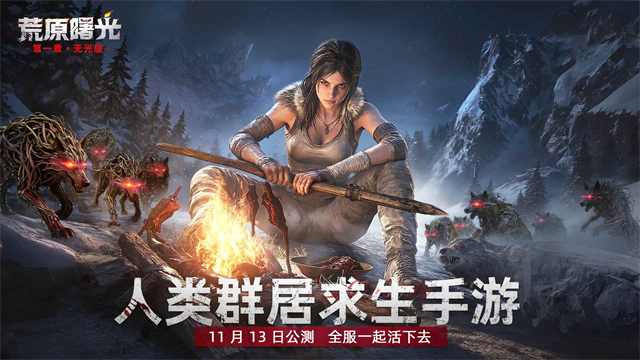 荒原曙光4