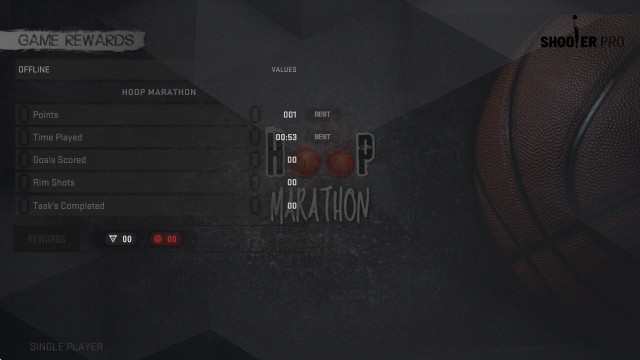 专业篮球1