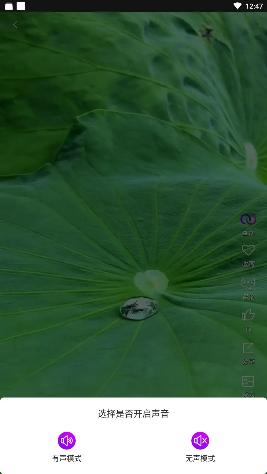 炫彩壁纸秀app3