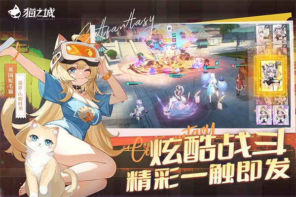 猫之城官方版4