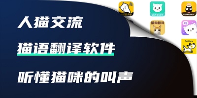 猫语翻译器
