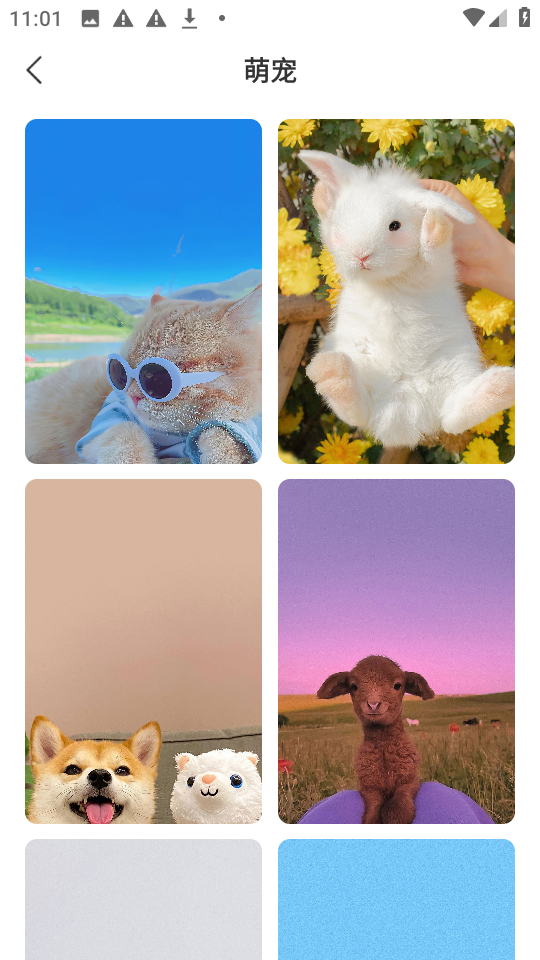 星汇壁纸app2